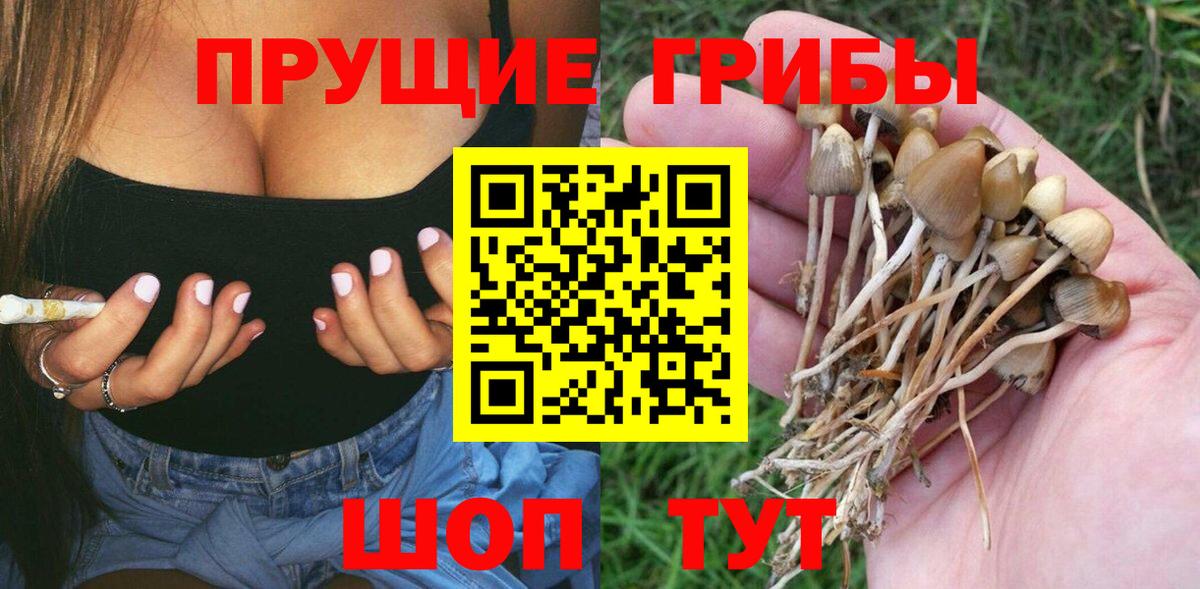 Галлюциногенные грибы MAGIC MUSHROOMS  Вход с VPN  Псилоцибиновые грибы Cubensis  Кушва 