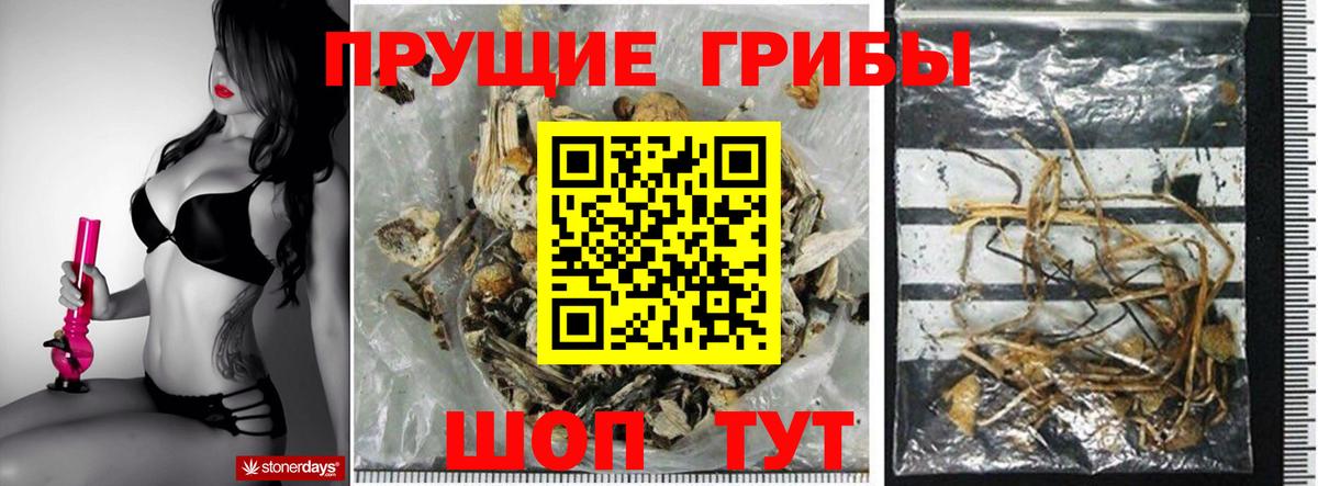 Псилоцибиновые грибы ЛСД Кушва